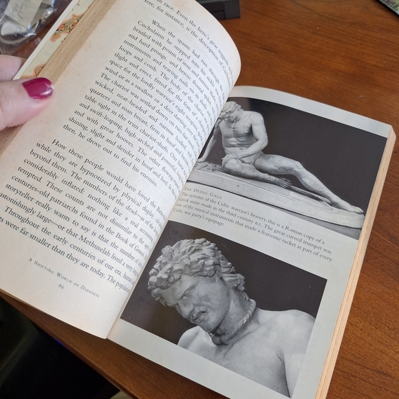 HOW THE IRISH SAVED CIVILIZATION, BOOK - Picture 5 of 10